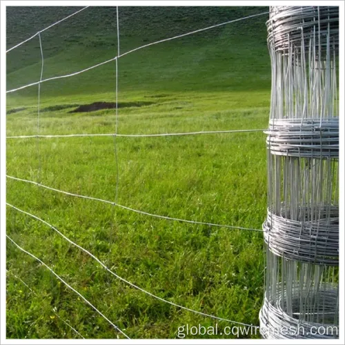 Premium Field Fence Premium Cattle Farm Field Grassland Fence Manufactory